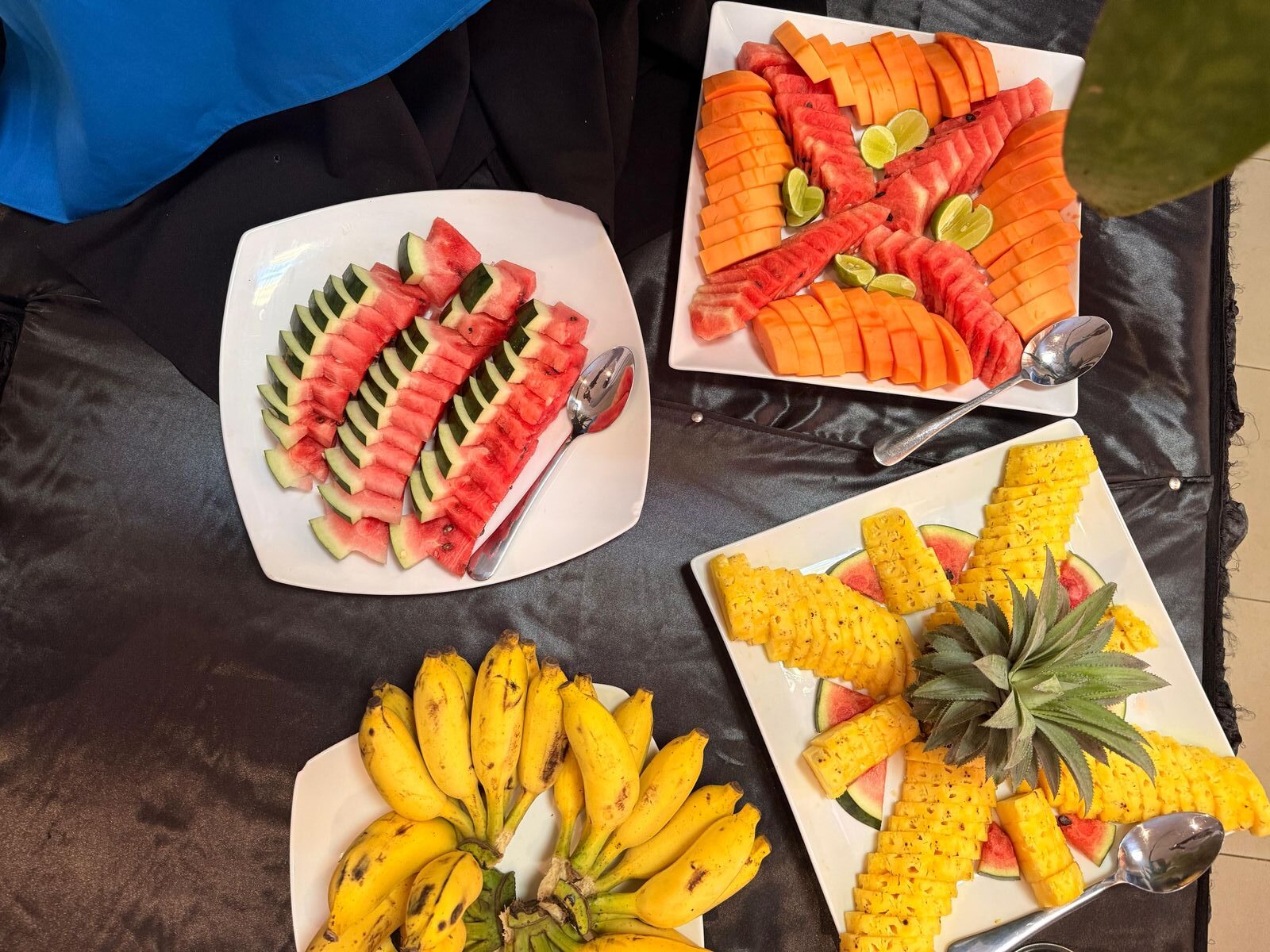 WhatsApp Image 2025-08-21 at 01.04.08_a4120cce